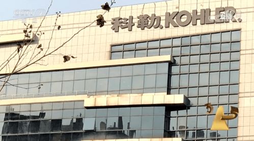 315曝光警示 商品批發貿易暗藏貓膩，消費者與企業需共同警惕