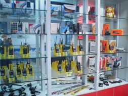 寧波河盛通電子在商品批發貿易中的優勢與前景